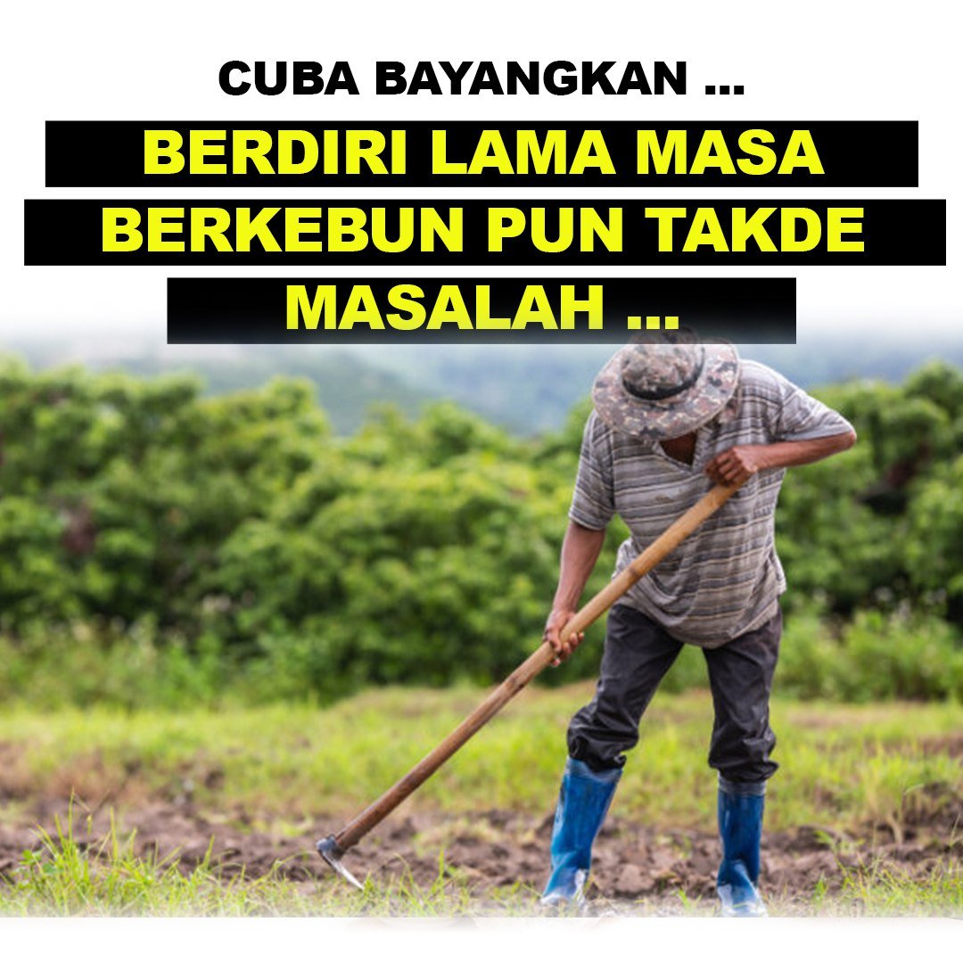 Berkebun tanpa masalah